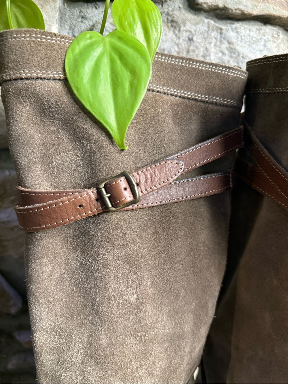 Frye Riding Boots - Picture 9 of 10